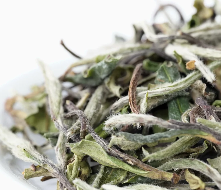 White Peony (Bai Mu Dan) (白牡丹)
